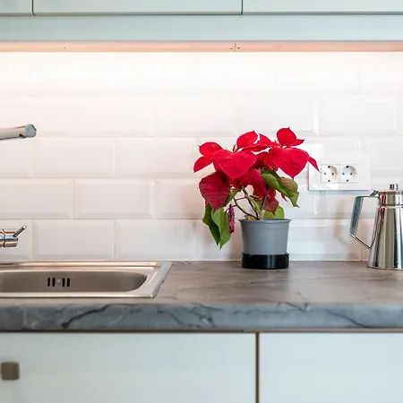 Appartement Nefeli-beachfront -apartment *